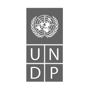 UNDP - partner of Hague Justice Week